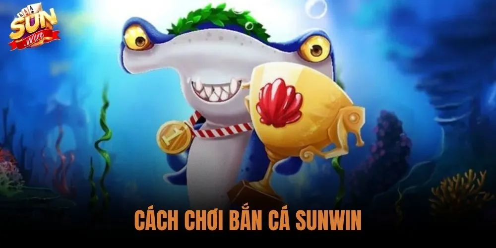 Cách Chơi Bắn Cá Sunwin